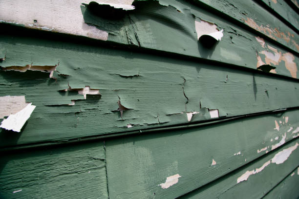 Best Stone Veneer Siding  in Ridgewood, NJ
