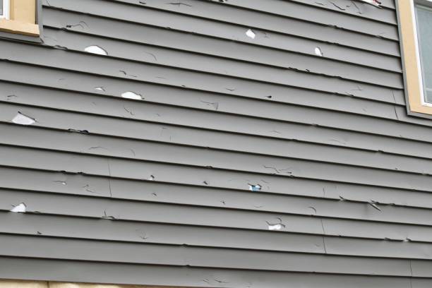 Best Residential Vinyl Siding Installation  in Ridgewood, NJ